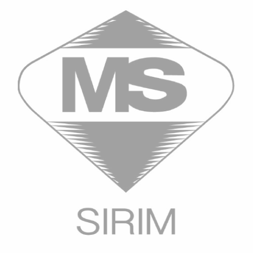 ms-logo